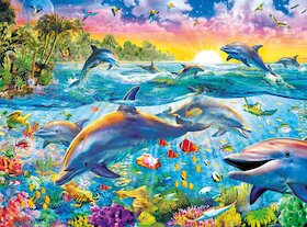 Delfíní ráj