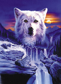 Země vlků