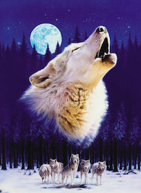 Vyjící vlk