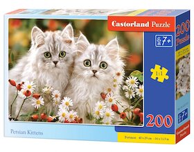 Koťata perské kočky
