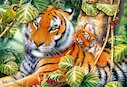 Dva tygři