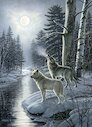 Vlci při svitu měsíce