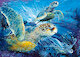 Mořské želvy