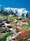 Pohled na Mont Blanc