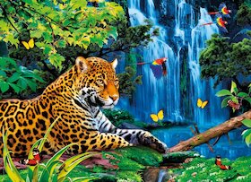 Jaguáří džungle