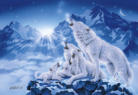 Rodina vlků