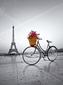 Romantická promenáda v Paříží