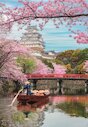 Hrad Himedži na jaře