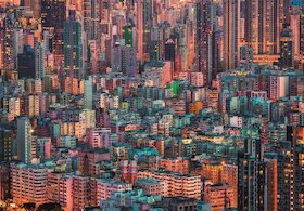 Mraveniště, Hong Kong