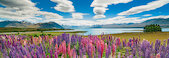 Jezero Tekapo
