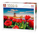 Pohled na nizozemské větrné mlýny skrze červené tulipány