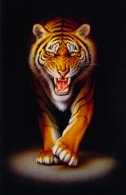 Plížící se tygr