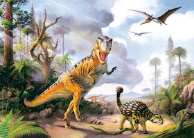 Tyrannosaurus rex