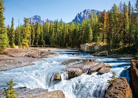 Řeka Athabasca, národní park Jasper, Kanada