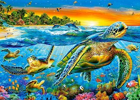 Želvy v moři