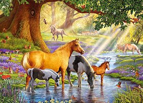 Koně u potoka