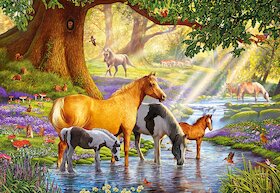 Koně u potoka