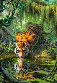 Tygr v džungli