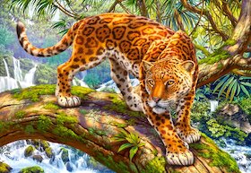 Plížící se jaguár