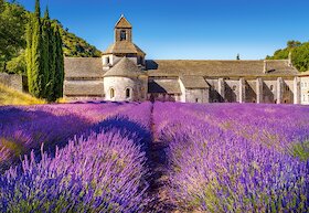 Levandulové pole v Provence, Francie