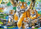 Tygři u potoka