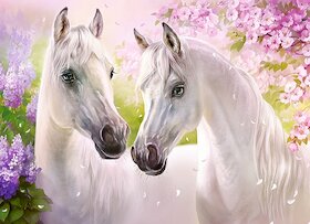 Romantičtí koně