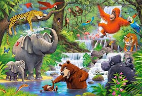Zvířata v džungli