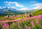 Hala Gąsienicowa, Tatry, Polsko