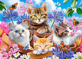 Koťata s květinami