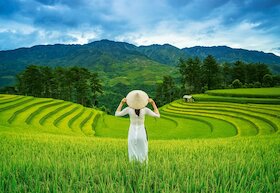 Rýžová pole ve Vietnamu