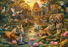 Tygří ráj