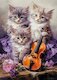 Muzikální koťata