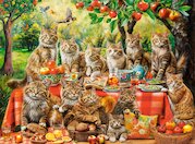 Kočičí rodinná sešlost