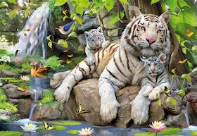 Bílí bengálští tygři