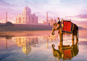 Slon u Tádž Mahalu
