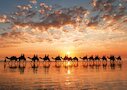Zlatavý západ slunce na Cable Beach, Austrálie