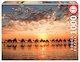 Zlatavý západ slunce na Cable Beach, Austrálie