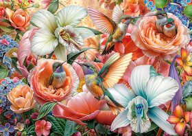 Zahrada kolibříků