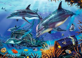 Delfíní průzkumníci