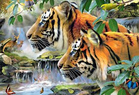 Bengálští tygři