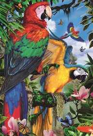 Nádherní papoušci