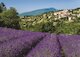 Aurel, Provence