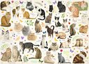 Plakát s kočkami