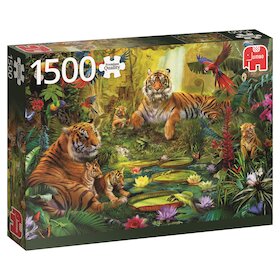Tygří rodinka v džungli