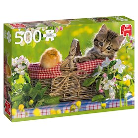 Připraveni na piknik