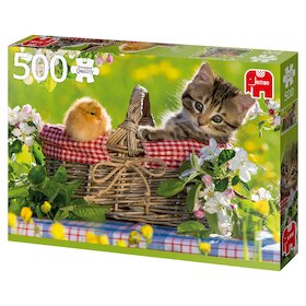 Připraveni na piknik
