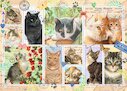 Kočičí poštovní známky