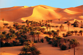 Sahara