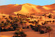 Sahara