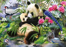 Panda